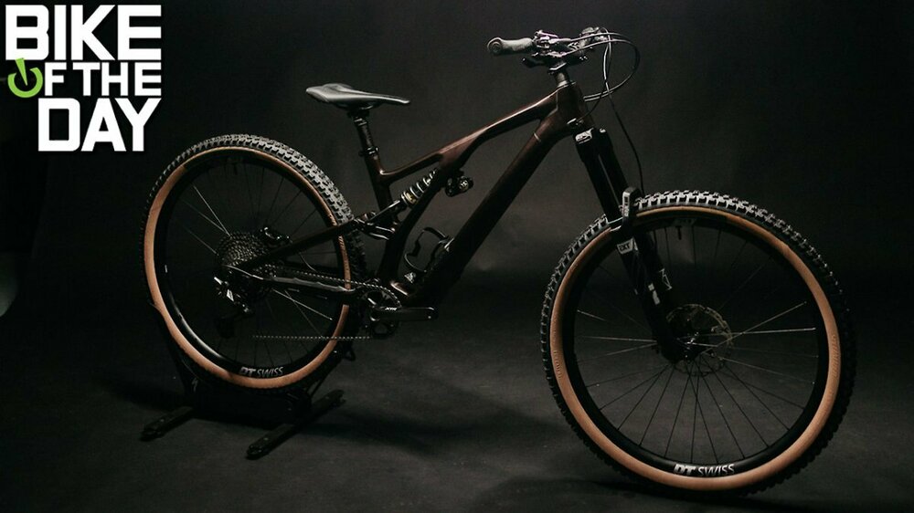 s1600_Stumpjumper_EVO_Carbon_Dream_FB.jpg